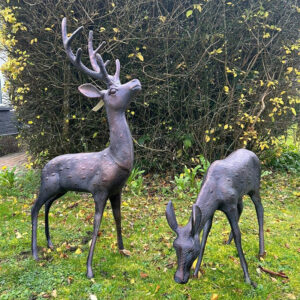 Stag and Doe Medium Set - 81cm Tall Stag