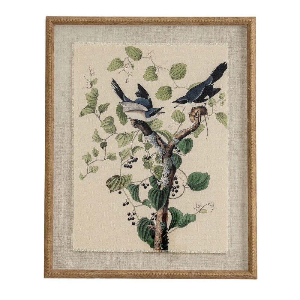 Framed Wild Bird Art | Captivating Quality Print on Linen