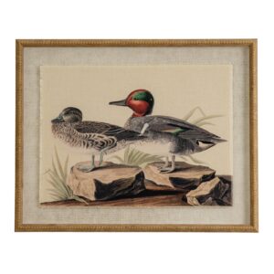 Framed Teals Art | Captivating Flora and Fauna Collection