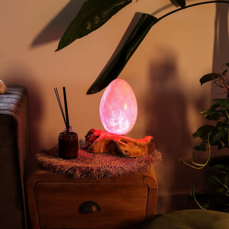 Crackle Egg Lamp | Fiery Orange Crackle Shade on Driftwood