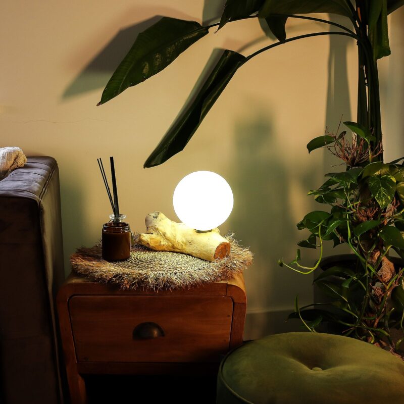 Ivory Cotton Ball Lamp on Driftwood Base