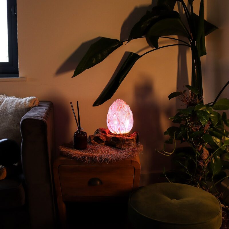 Purple Lotus Driftwood Lamp | DriftGlow Lamp Lifestyle