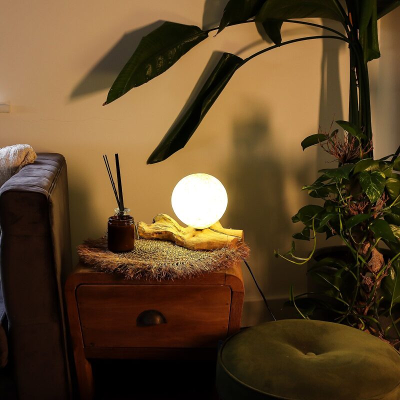 Cotton Ball Lamp On Wood | Cream Cotton on Driftwood Base