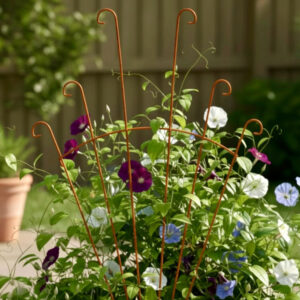 Compact Peacock Fan Trellis _ Small Decorative Plant Support