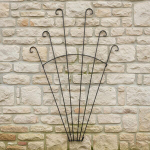 Peacock Flat Wall Trellis | Large Decorative Plant Support