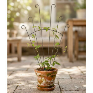 Compact Peacock Fan Trellis | Small Decorative Plant Support