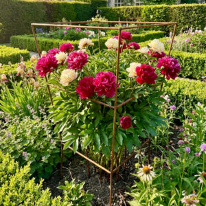 Square Peony Support Cages _ Solid Steel _ Savings on Two
