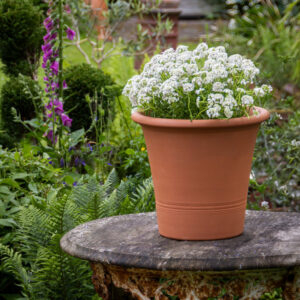 Terracotta Kitchen Planters | Handmade Frostproof Plant Pots