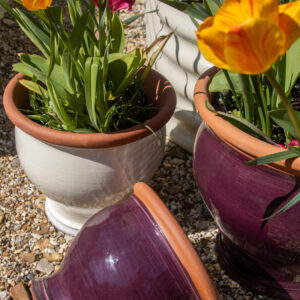 Large Bellied Planters - British Flower Pots