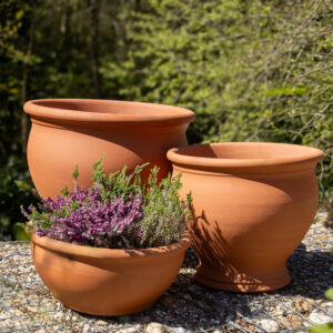 Terracotta Bellied Planters by British Flowerpots