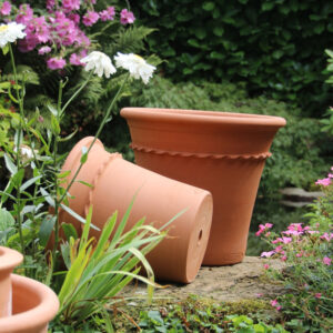 XL Piecrust British Flowerpots Terracotta Planters