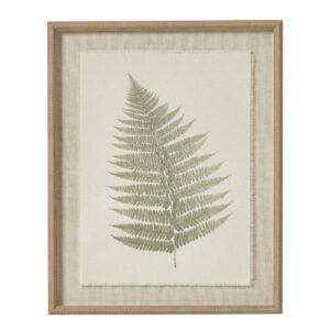 Framed Bracken Leaf on Torn Paper Print