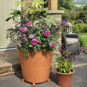 Large Terracotta Tree Pot by British Flowerpots