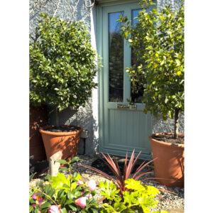 Terracotta Tree Pots